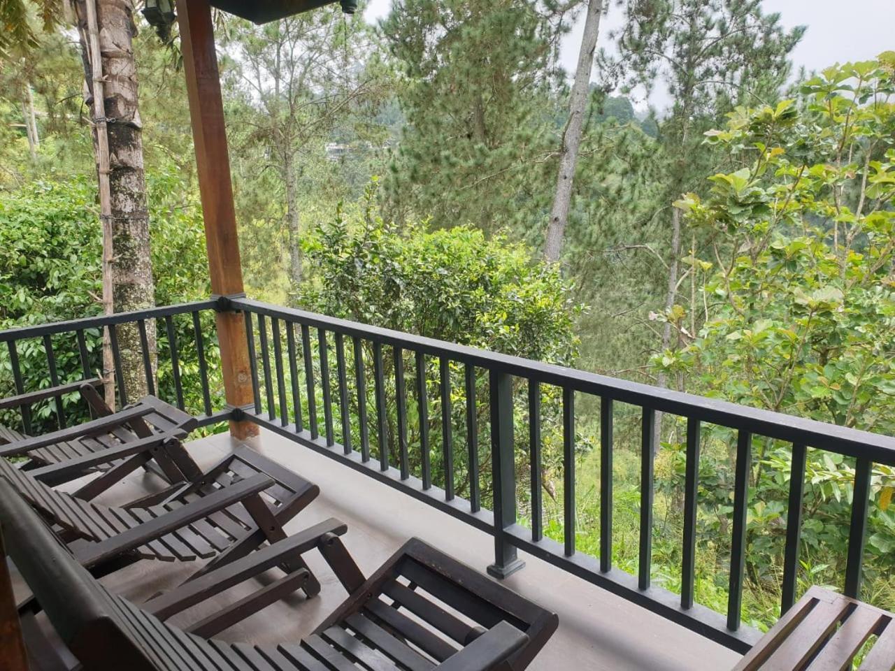 Ella Mount Relax Cottage מראה חיצוני תמונה
