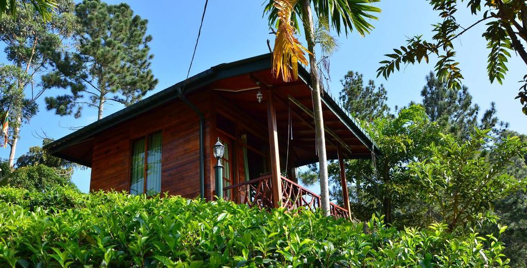 Ella Mount Relax Cottage מראה חיצוני תמונה